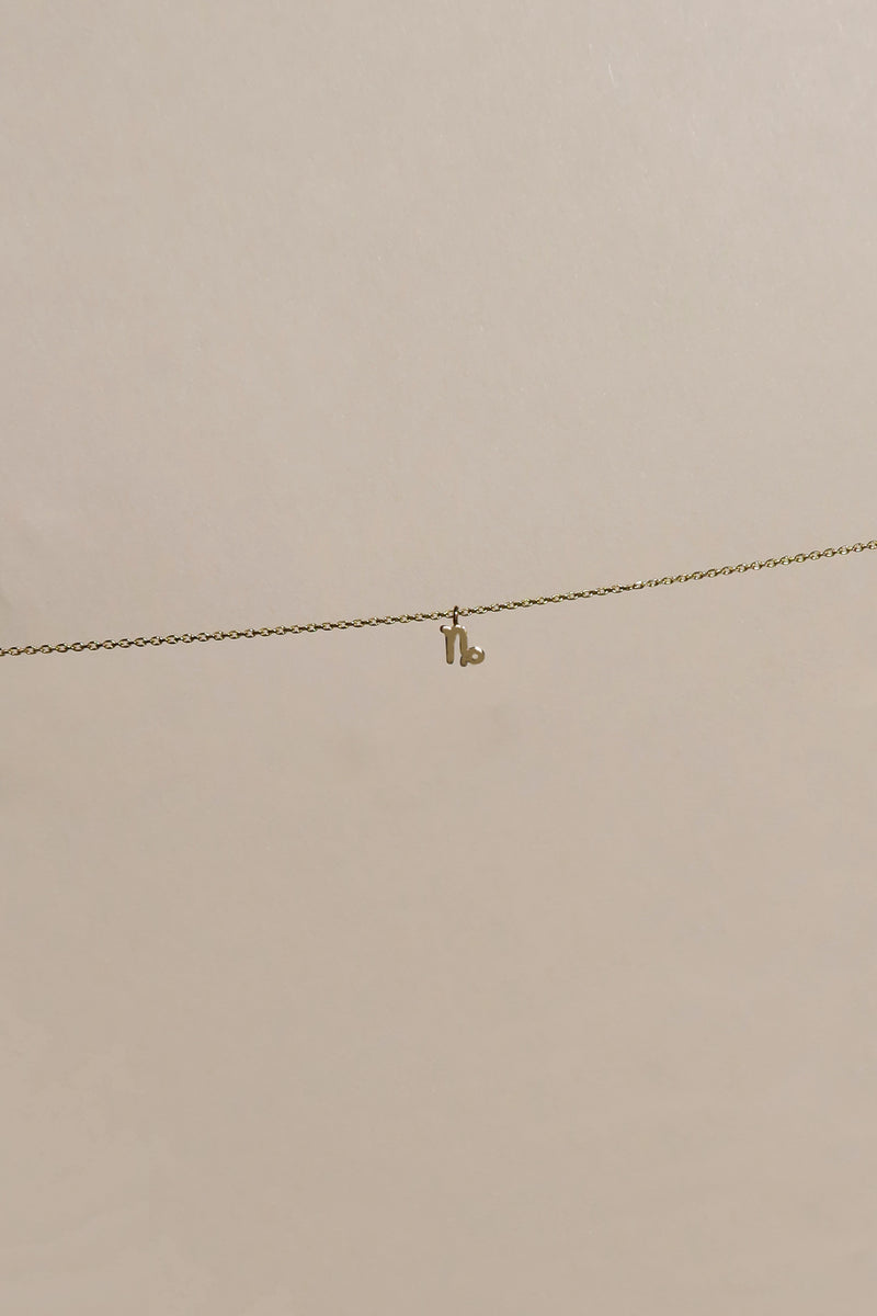 PETITE CAPRICORN ZODIAC NECKLACE