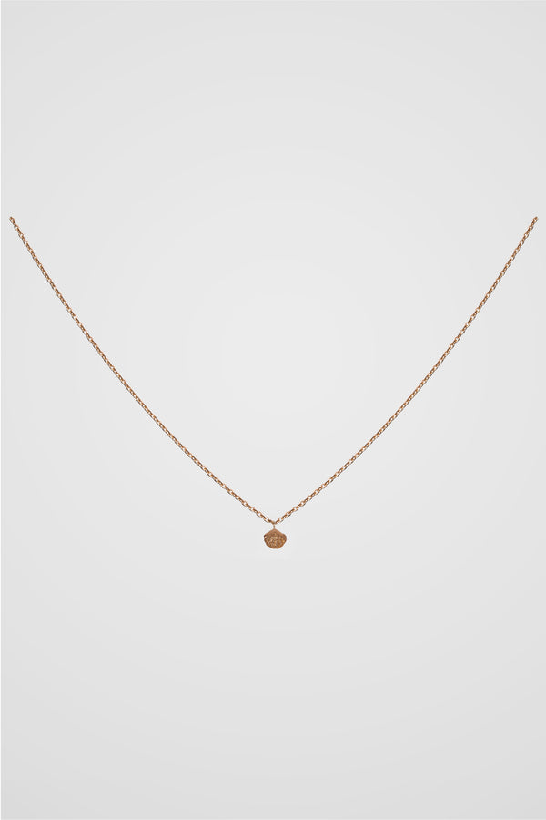 PETITE SHELL NECKLACE
