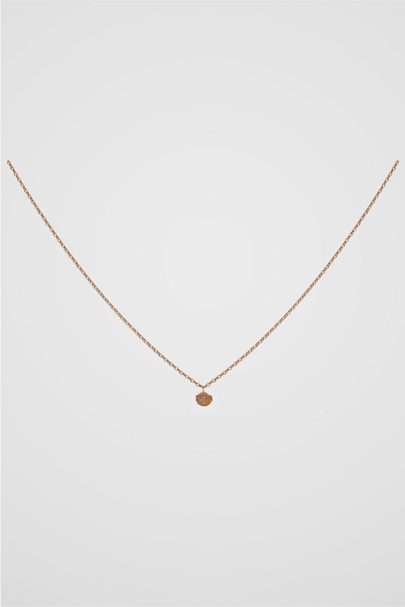PETITE SHELL NECKLACE